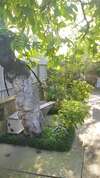 Гостевой дом Guest House David Кутаиси-4