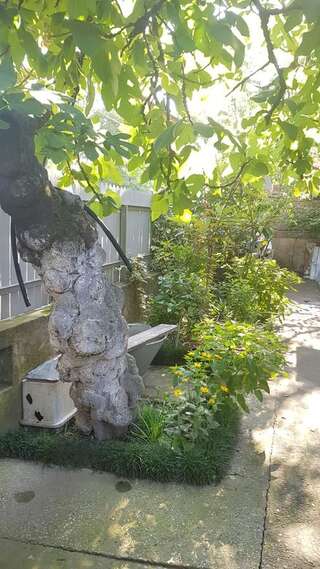 Гостевой дом Guest House David Кутаиси-4